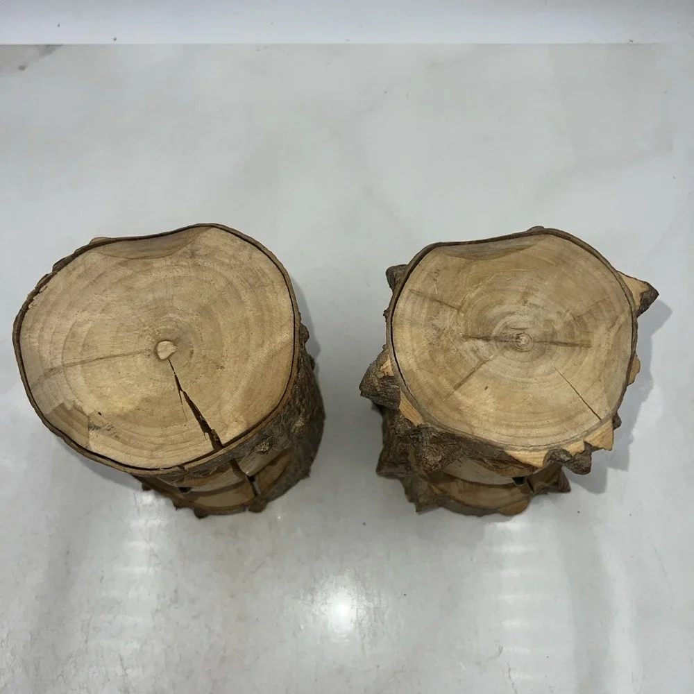 Owl Carved in Split Tree Branch Log 6